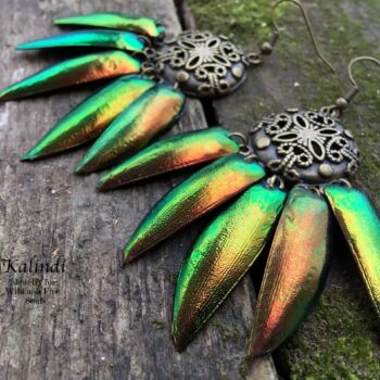 Earrings with beetle wings