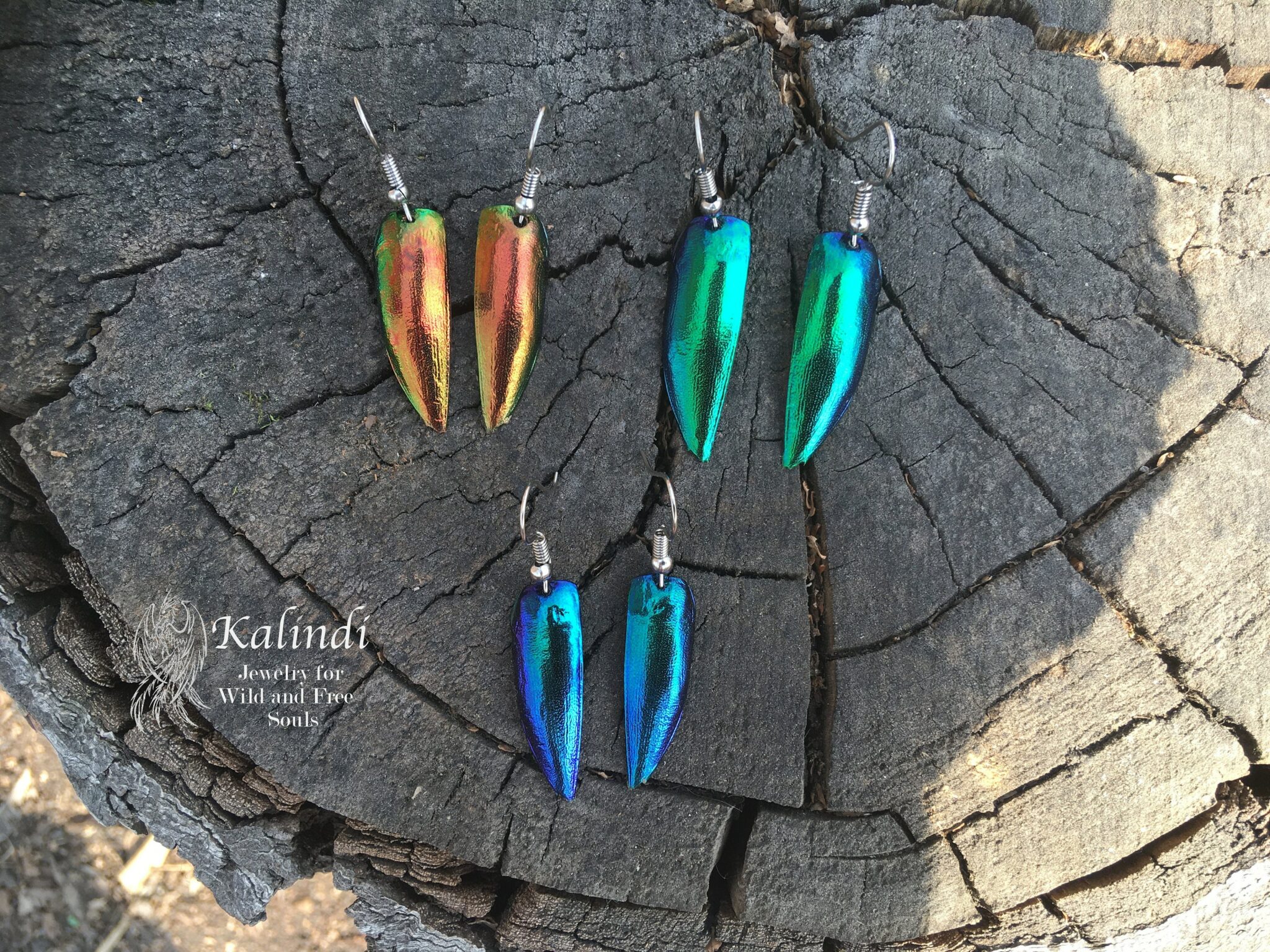 Earrings with beetle wings