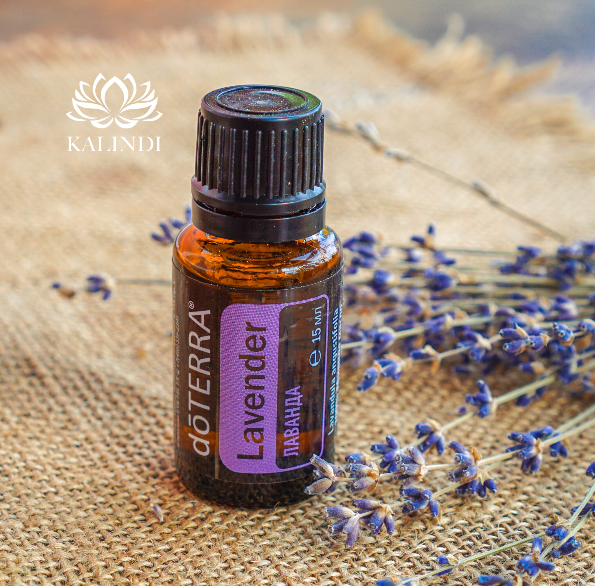 Lavender Oil Lavandula angustifolia