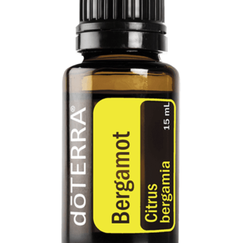 Bergamot Oil Citrus bergamia