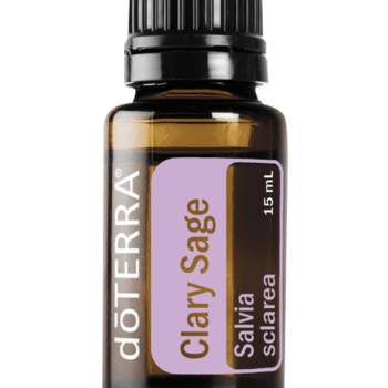 Clary Sage Oil Salvia sclarea