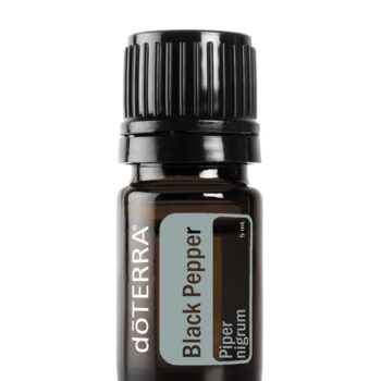 Black Pepper Oil Piper nigrum