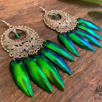 Earrings with beetle wings