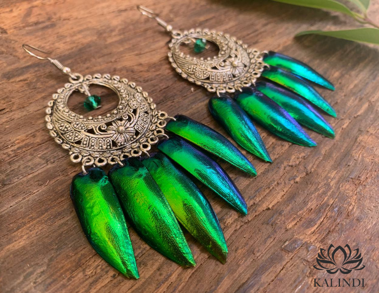 Earrings with beetle wings