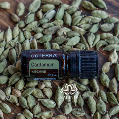 CARDAMOM OIL