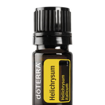 Helichrysum Oil Helichrysum italicum