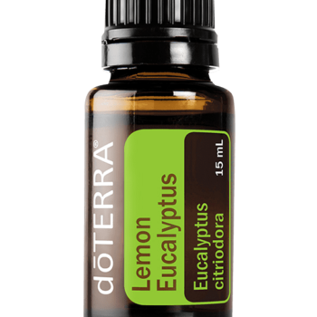 Lemon Eucalyptus Oil Eucalyptus citriodora