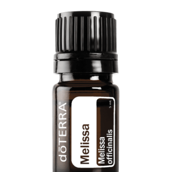 Melissa Oil Melissa officinalis