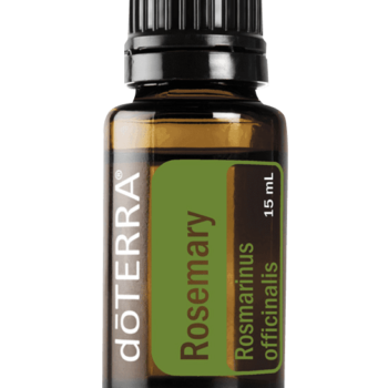 Rosemary Oil Rosmarinus officinalis