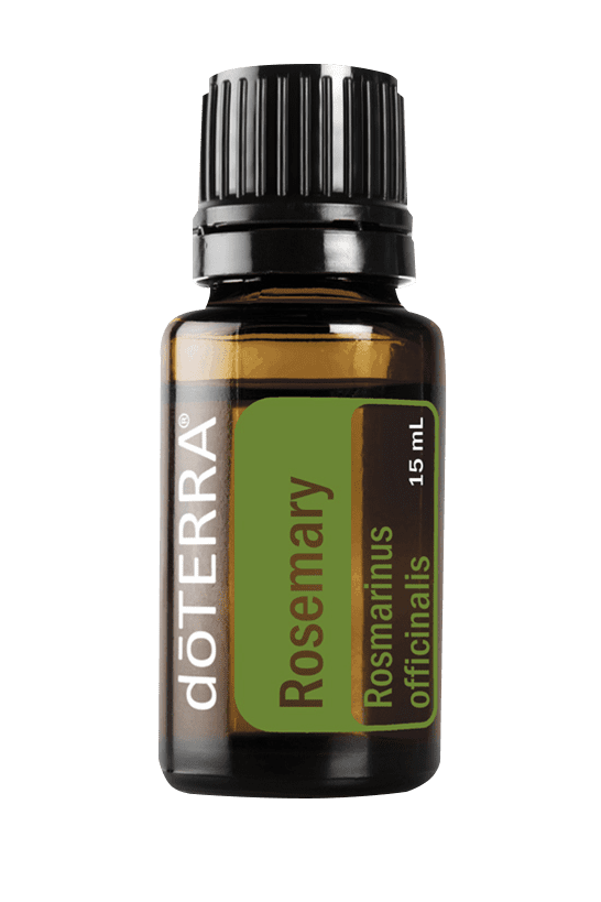 Rosemary Oil Rosmarinus officinalis