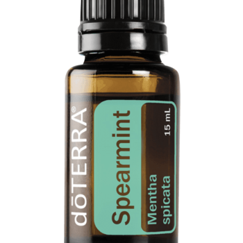 Spearmint Oil Mentha spicata