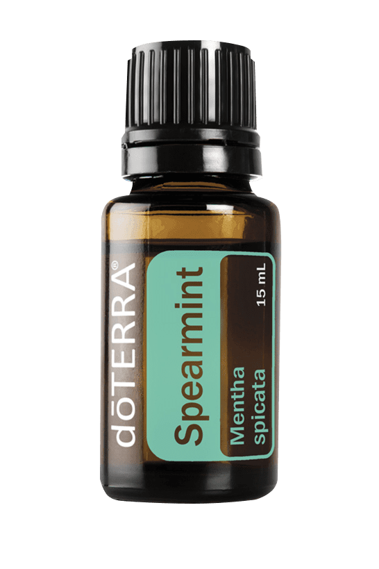 Spearmint Oil Mentha spicata