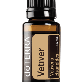 Vetiver Oil Vetiveria zizanioides