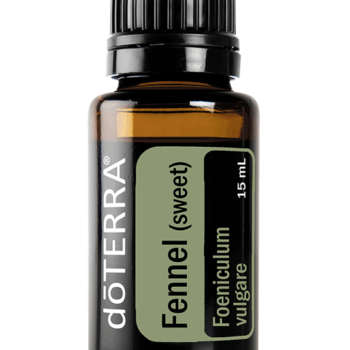 Fennel Oil Foeniculum vulgare