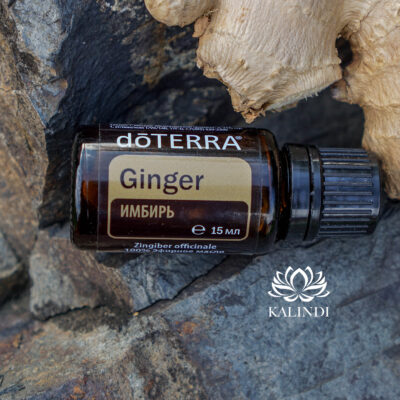 GINGER OIL