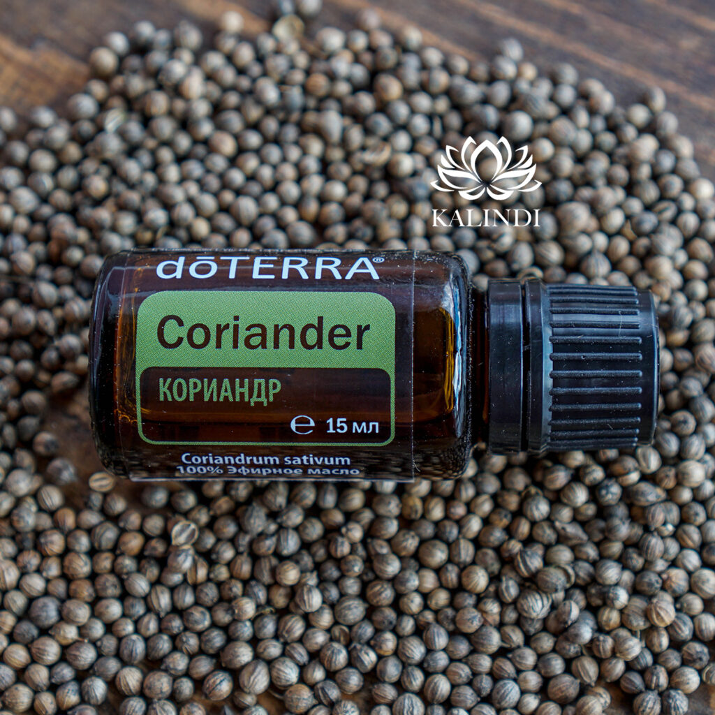 CORIANDER OIL