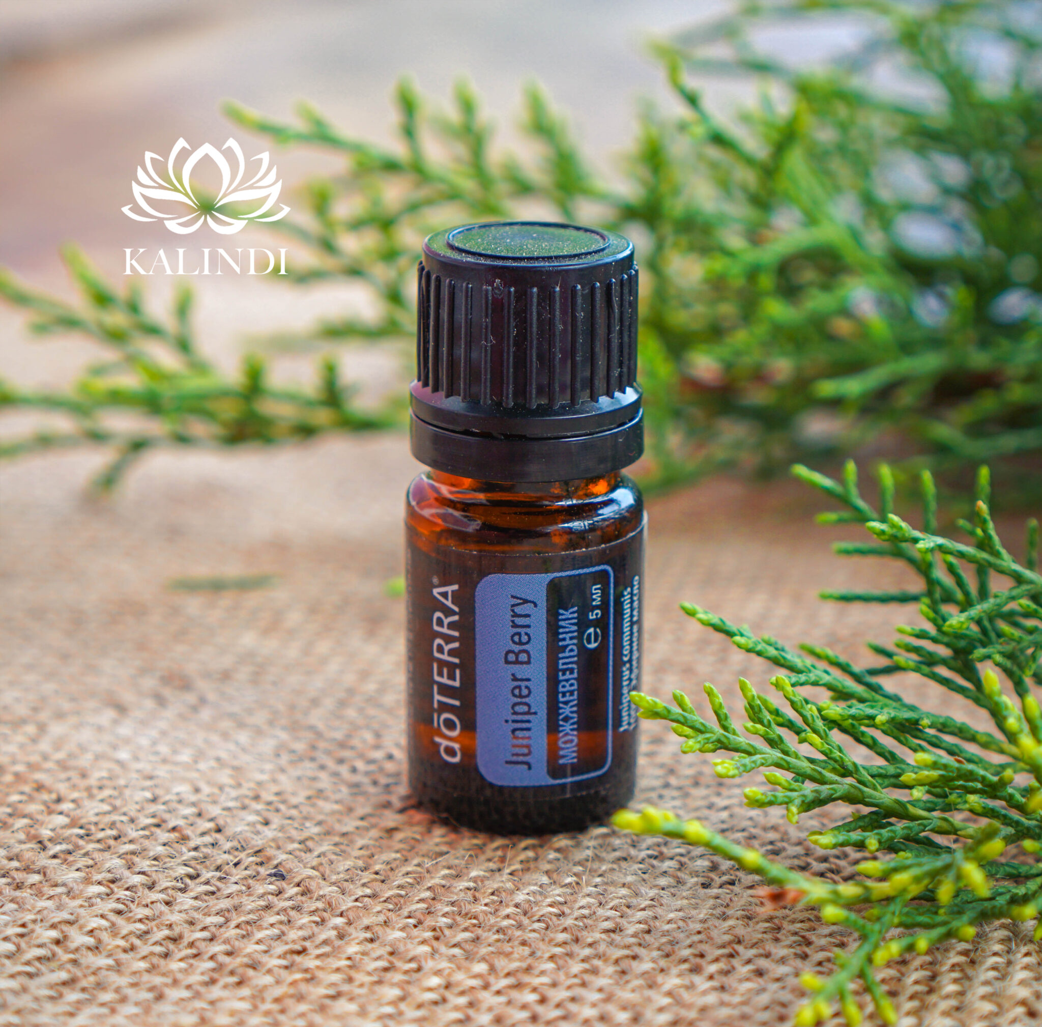 Juniper Berry Oil