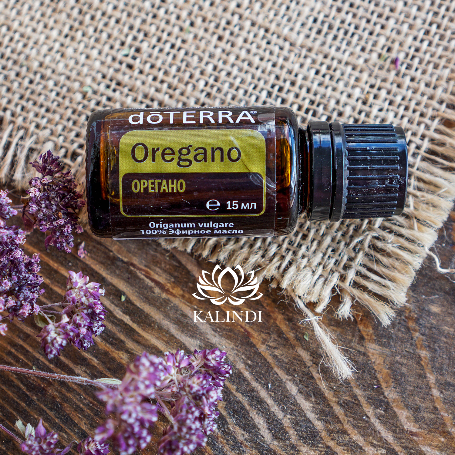 Oregano Oil Origanum vulgare