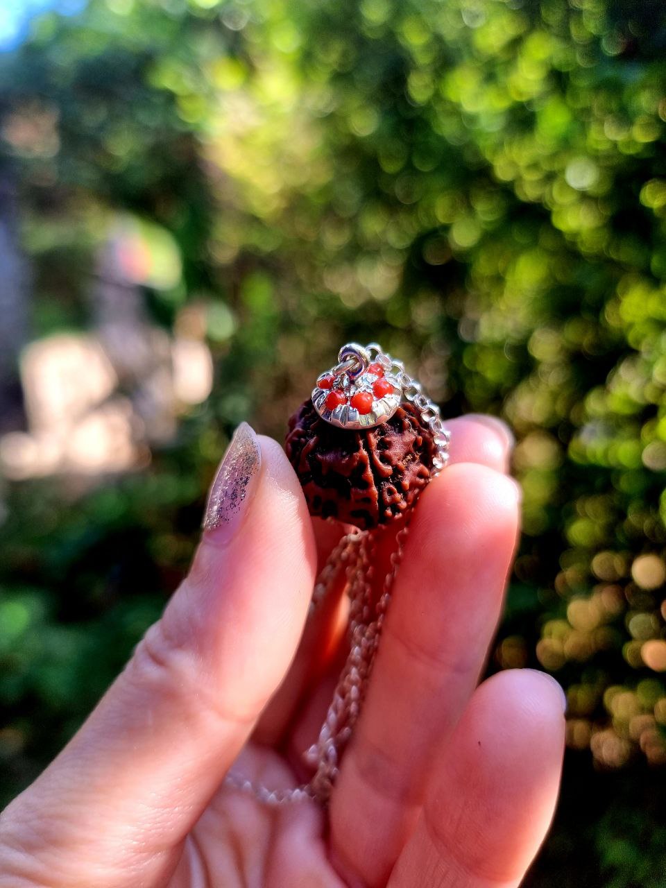 FIVE MUKHI RUDRAKSHA