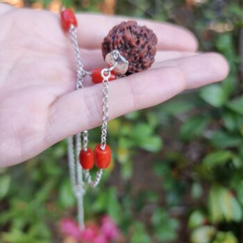 FIVE MUKHI RUDRAKSHA CORAL PENDANT, FIVE-FACED RUDRAKSHA