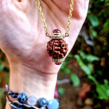 Four MUKHI RUDRAKSHA RUBY