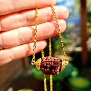 Four MUKHI RUDRAKSHA