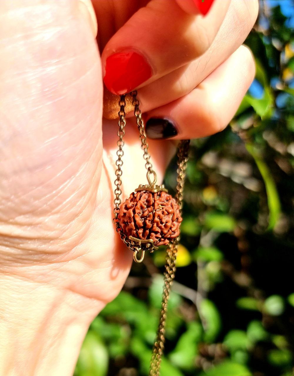 Seven MUKHI RUDRAKSHA