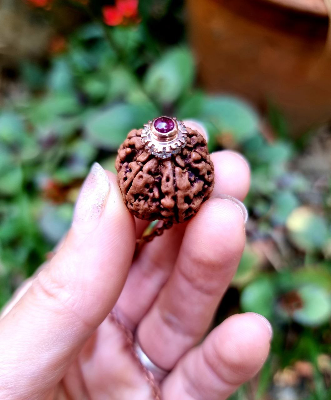 Six-faced rudraksha