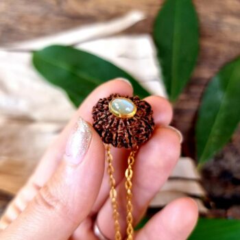 Ten MUKHI RUDRAKSHA cat eye