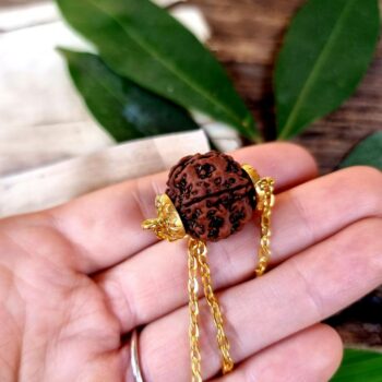 FIVE MUKHI RUDRAKSHA zircon