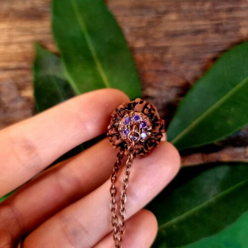 FIVE MUKHI RUDRAKSHA Amethyst