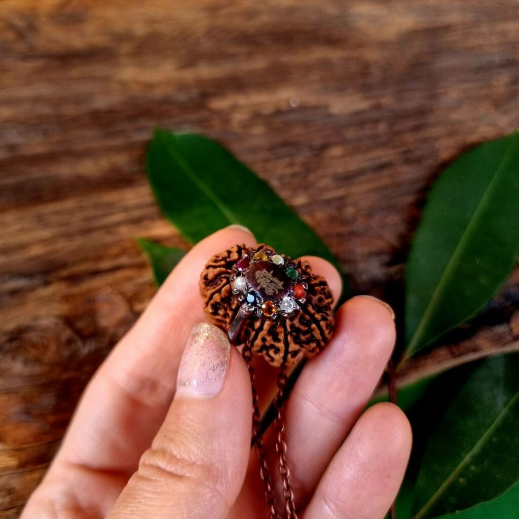 twelve MUKHI RUDRAKSHA Navaratna