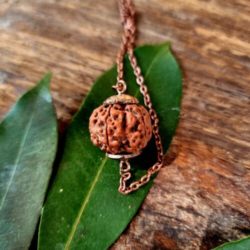 Six Mukhi Rudraksha