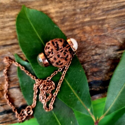 FIVE MUKHI RUDRAKSHA moonstone and labradorite