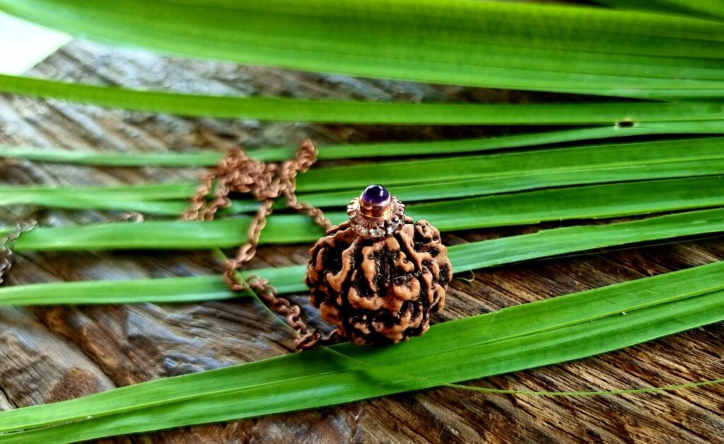 Six Mukhi Rudraksha Amethyst