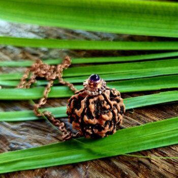 Six Mukhi Rudraksha Amethyst