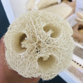 Loofah Sponge