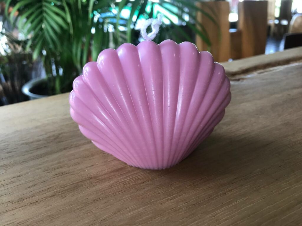 Fuchsia Soy Candle in Shell Shape — Bold Beauty with a Coastal Twist