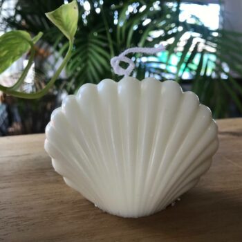 White Soy Candle in Shell Shape — Pure Elegance with Coastal Flair